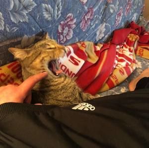 Meet your Posher, Arturo